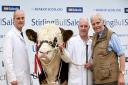 The Kilbride Farm team at Stirling Bull Sales ... Michael, Norman and Billy Robson