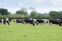 Organic milk sales appear to be on the up with an increase in price from March onwards