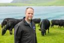 Jamie Leslie relies  on the hardy, low maintenance costs of the Aberdeen-Angus on Shetland