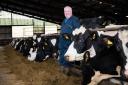 John Harvey has seen increased milk yields over the past month