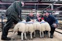 Champion pen of lambs, Dutch Texels from Messrs Story, Woodhead sold for £500 per head