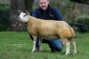 Lurg Juicy Lucy ET ewe lamb from Alan Miller topped the sale at 6000gns
