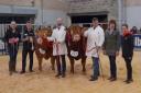 Champion and reserve winning Limousins from left Mike and Lisa Massie's Elrick Trooper which was junior champion and supreme overall and the reserve winner, the intermediate champion, Dyke Topman from Donald MacGregor