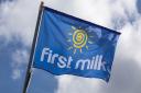 Farmer owned co-operative First Milk announces 1ppl milk price increase