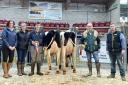 Sponsors, Alison Carroll and Helen Whittaker, pictured with Jack Swales and his reserve, and Robin Jennings’s champion, along with the judge Rob Marshall, who purchased both the champion and reserve