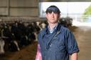 Bull fertility key for more calves. Ref:RH110722062  Rob Haining / The Scottish Farmer