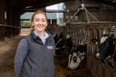 Caitlin Palmer, Harbro dairy specialist