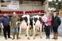 Pictured from left, judge, Will Oldfield, champion Robin Jennings, Rachel Nelson and 18-month-old daughter, Lily, representing the Goldies and their reserve champion, and Helen Whittaker