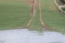 Flooding in a winter wheat crop with water damage to the soil further up the slope Ref:RH080424029  Rob Haining / The Scottish Farmer...