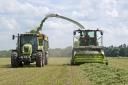 Farmers can still look to produce another crop of silage
