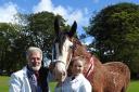 SANDY AITKEN and his granddaughter, Keira Gowans, of Memus, Angus, celebrate winning the supreme championship at the City of Aberdeen Clydesdale Show on Saturday, with Redcastle Amazing Grace. 15-year-old Keira was also winner of the young handler and you