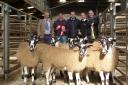 Champion pen from John Smith Jackson, pictured from left to right with judge Edward Albut; John Smith-Jackson; judge Edwin Holliday, Craig Pollock of Dodd and Co and Kevin Beattie, Capontree Vets
