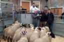 Champion pen of Blackfaces from DH Amory, Glenfernate, pictured with Andrew Argo (judge) who later purchased the pen for £80 per head and farm manager, Ross McIntosh and John Harvie, shepherd 