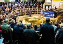 Check out the latest auction highlights nationwide - Ref:RH101019045  Rob Haining / The Scottish Farmer