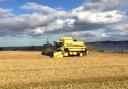 Combining Spring barley on the Black Isle over looking the Cromarty firth.  Cameron Maciver, Easter Strath.