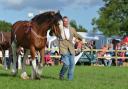 MARTIN CLUNES has been appointed as President of the World Clydesdale Show 2022. As well as being a famed actor, presenter and writer, Mr Clunes is a heavy horse enthusiast, with two Clydesdales of his own. He will be bringing them to the four-day long