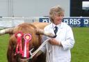 Margaret Thomson was well known around the show circuit for showing Highland cattle