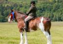 The winning ridden combo at Stirling Show