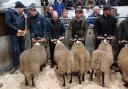Lanark and Peebles Blackface Sheep Breeders' Association branch stockjudging and show of tup hoggs at Lanark Agricultural Centre proved a huge success