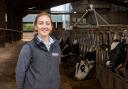 Caitlin Palmer, Harbro dairy specialist