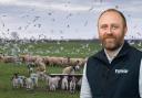 Lambing has been a brutal time for farmers this year