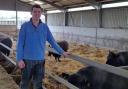 Andrew Adam runs the Newhouse Aberdeen Angus herd owned in partnership with his brother James
