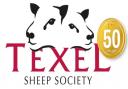 The Texel Sheep Society's plans to celebrate its 50th anniversary