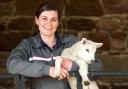 Rachel has had the assistance of two students and her two-year-old daughter, Ellie assisting at lambing