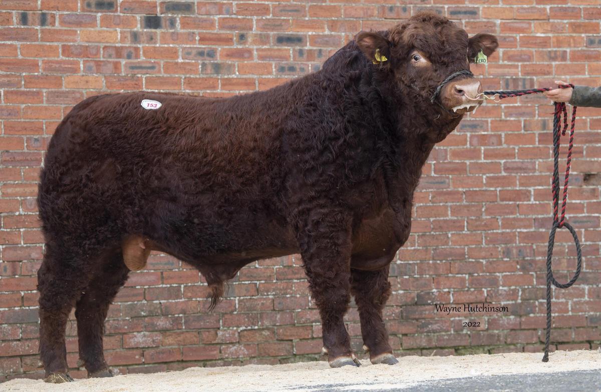Backmuir Zero from Backmuir Trading sold for 10,000gns.