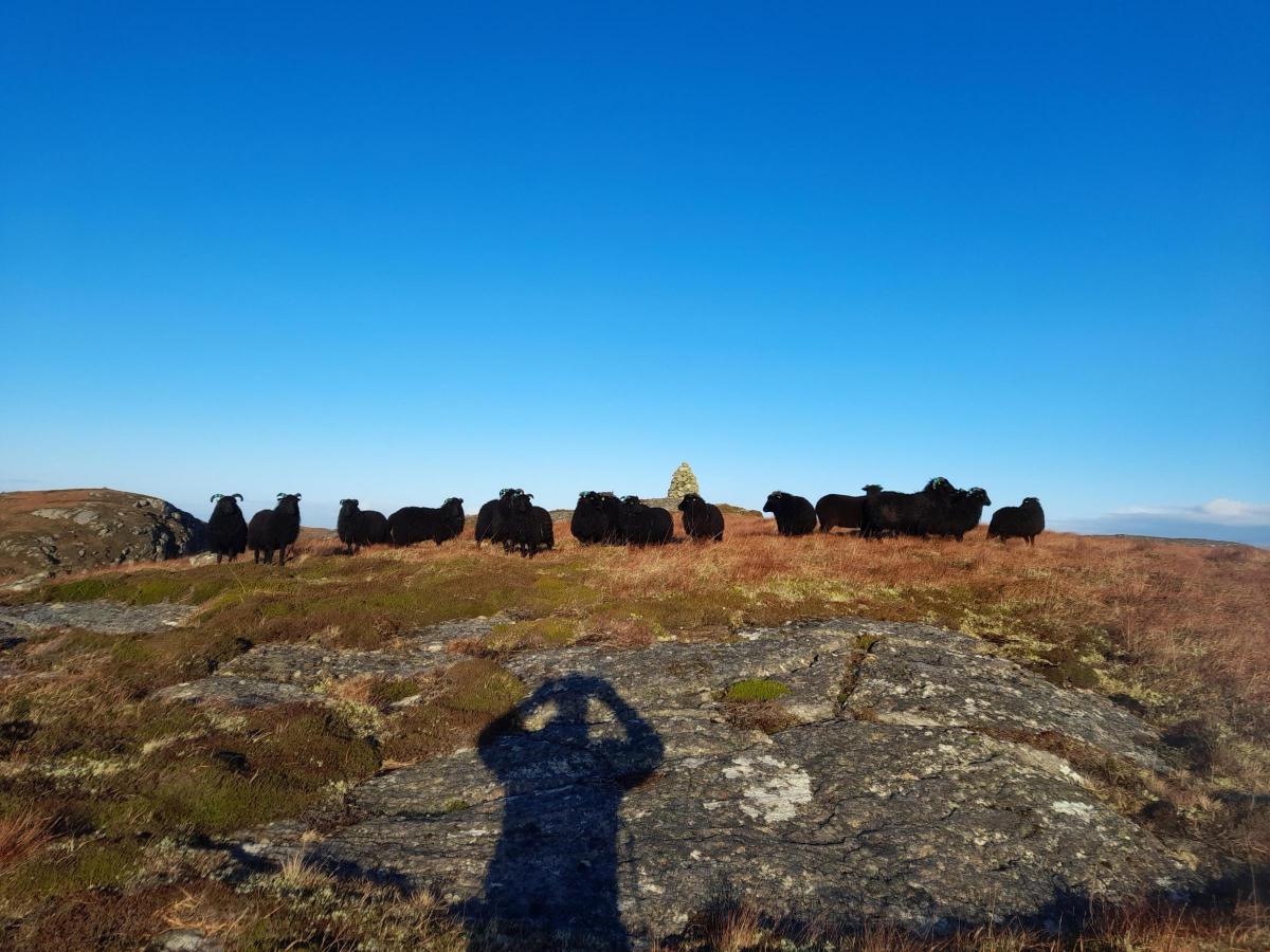 Richard Greenslade - Right, everyone line up in front of the cairn for a photo (Hebrideans, Skorashal Mòr, Garenin Common Grazings, Isle of Lewis)