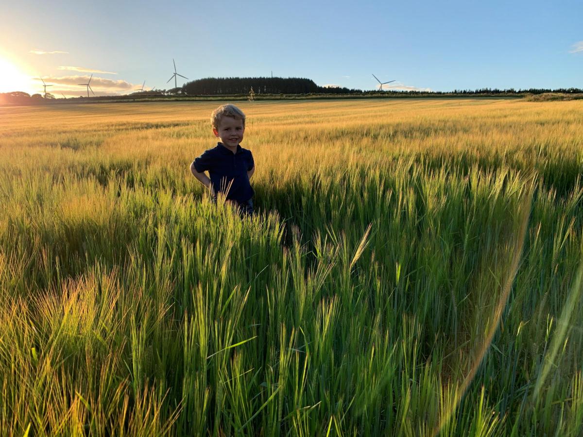 Claire Notman - “Checking the barley on a summers night” George Grant, Insch