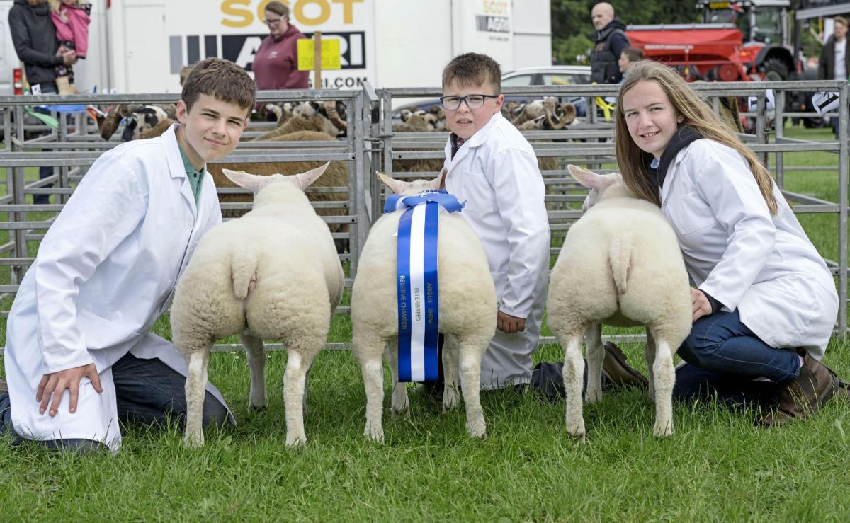 Reserve overall sheep champions were the winners of the cross-bred section - three continental lambs from Ben MacDonald left, his sister Amy with assistance of Alfie Wood