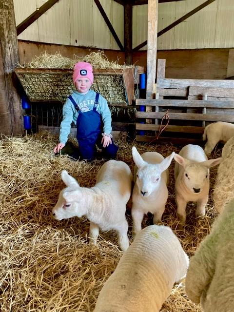 Elliott Bowman - Olivia Bowman checking on her own texel Lambs here at Mid Cragabus Croft Isle Of Islay