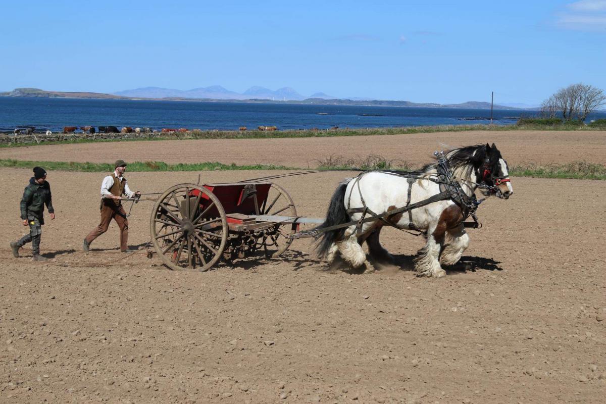 Stephen Jones - Sowing peas and oats for wholecrop with the horses
