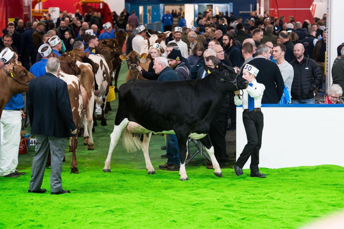 Pictured at AgriScot 2022 - 
Ref RH161122061 Rob Haining The Scottish Farmer