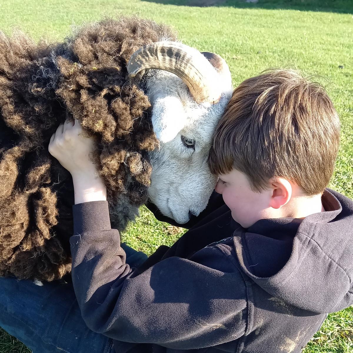 Fentons - 12 year old Will with his hand-reared Herdwick 'Jim' ... just the best of pals