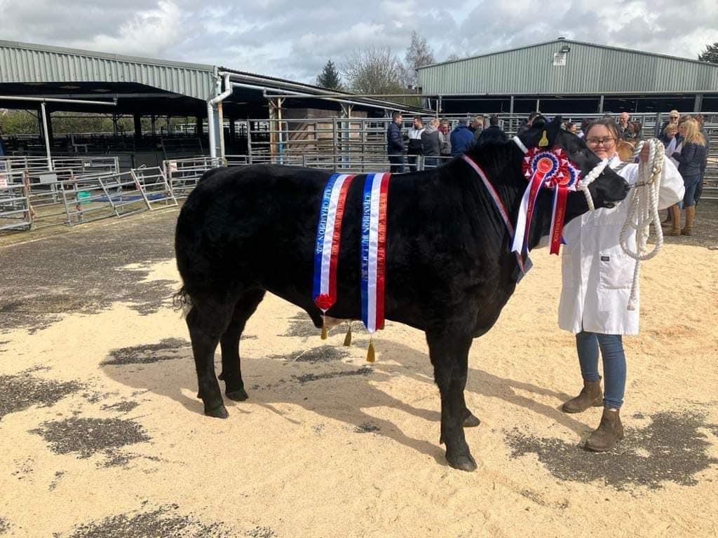 Tammy Campbell produced the overall champion with Black Berry
