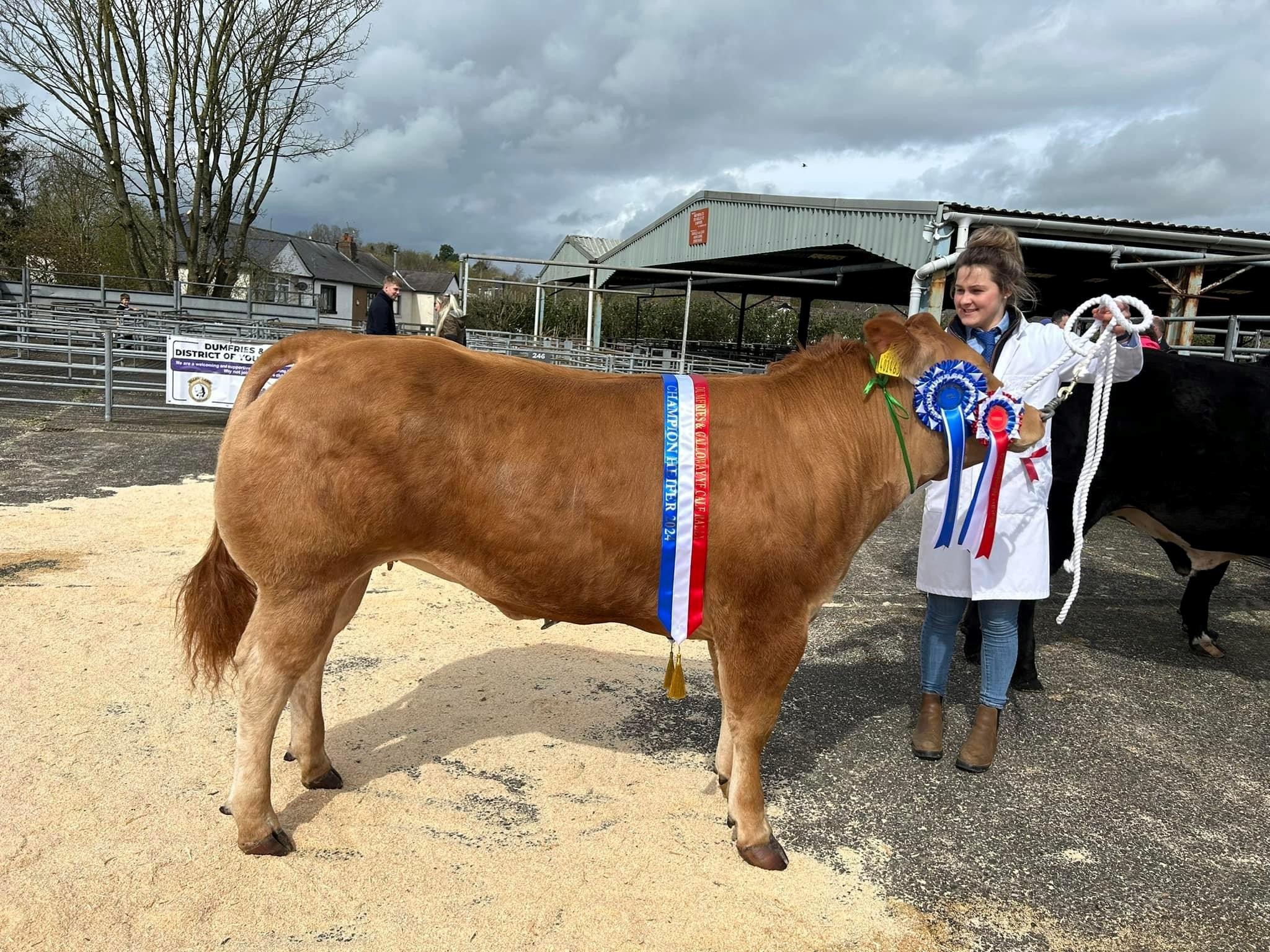 Ginger Snap was awarded the heifer championship for Jodie Caig 