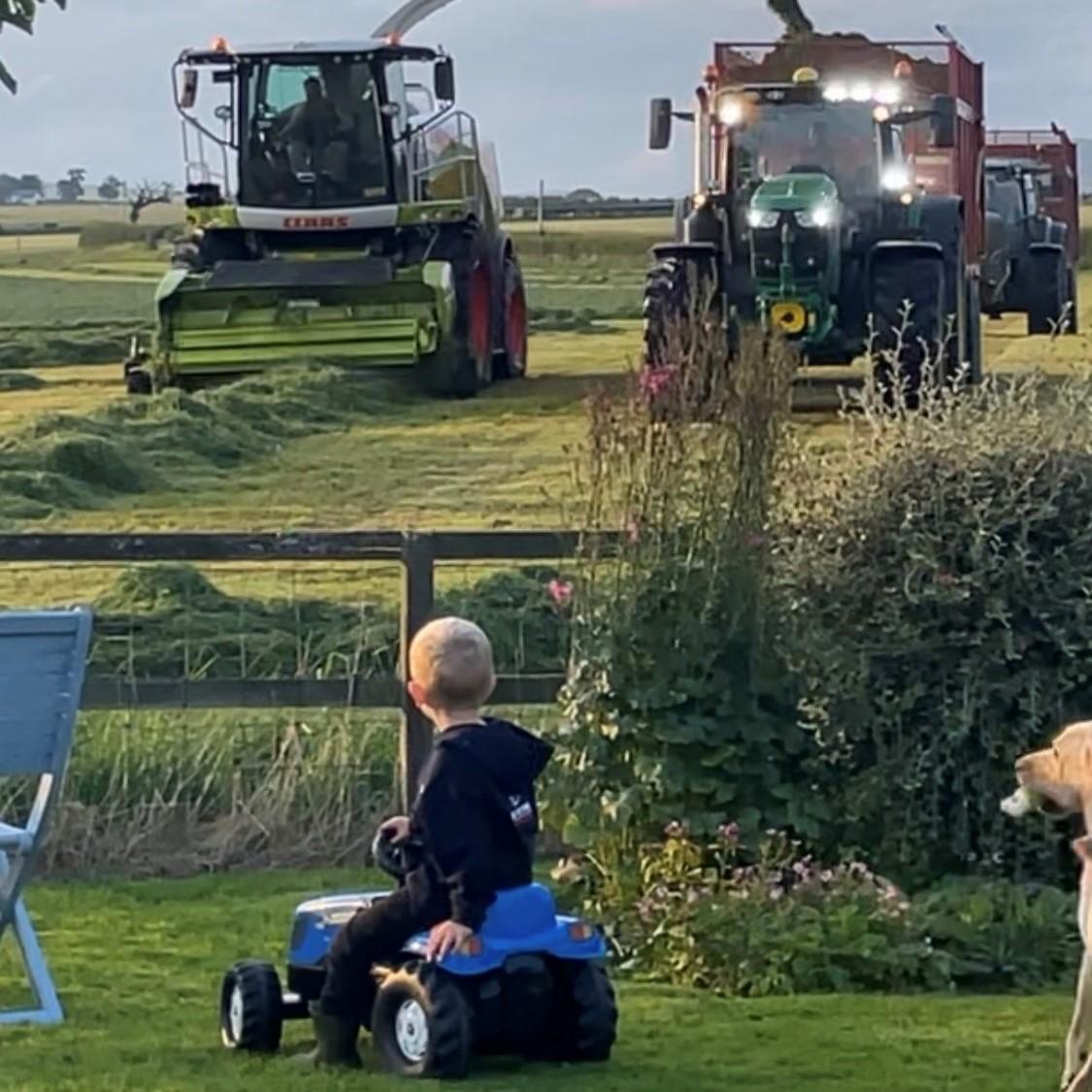 Alexandra Isle - 4 year old Oliver Isle with a front row seat from the garden. Brilliant entertainment for a tractor mad little boy