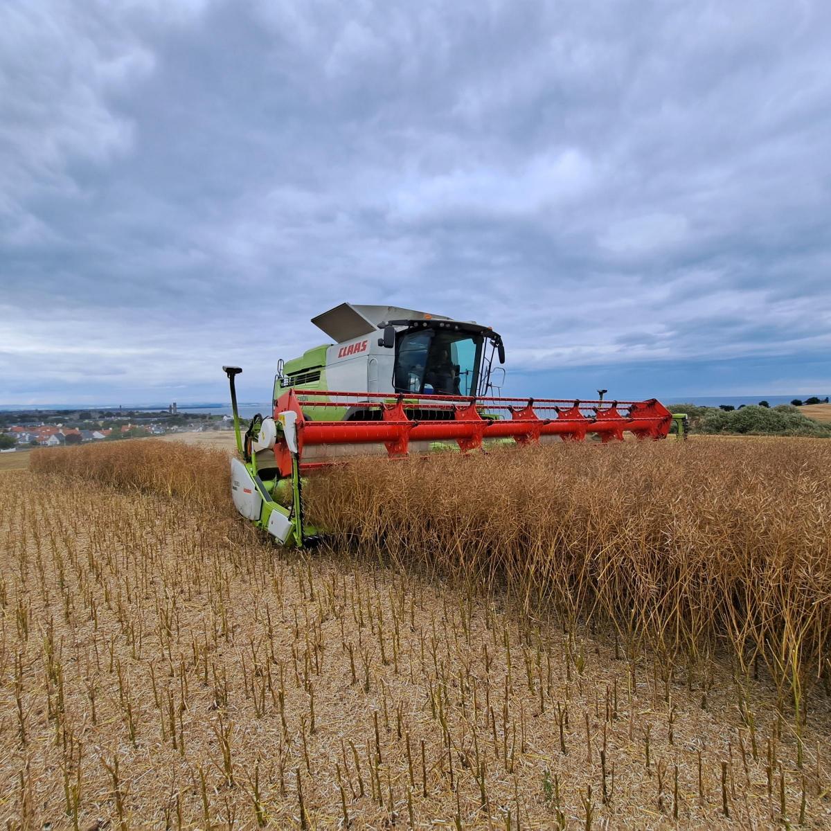 Dylan Sim - OSR harvest in full swing, at Allanhill Farm, St Andrews