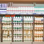 The funding aims to boost UK dairy exports