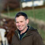 Neil McGowan is back to work at home for a while following three bull sales and several meetings