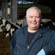 John Harvey shares top calving tips