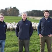 Owen Gray (Flock Manager ), Richard Callander (Saughland farm owner and farm manager Pete Eccles