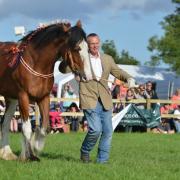 MARTIN CLUNES has been appointed as President of the World Clydesdale Show 2022. As well as being a famed actor, presenter and writer, Mr Clunes is a heavy horse enthusiast, with two Clydesdales of his own. He will be bringing them to the four-day long