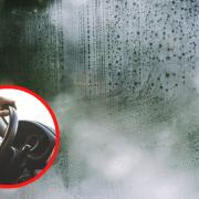 How to stop condensation in cars using these life hacks (Canva)