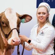 Showmanship winner at the 2023 Dairy Expo, Alison Hunter      Ref:RH110323087  Rob Haining / The Scottish Farmer