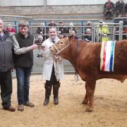 YF champion - Left to right - Andrew Mackay Judge Bill Cameron Dial Mackay and Lyndsey Dunnet