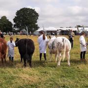 The last North Yorkshire County Agricultural Show took place in 2022