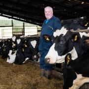 John Harvey has seen increased milk yields over the past month